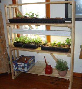 Presenting My Gardening Workshop to the Queen Image